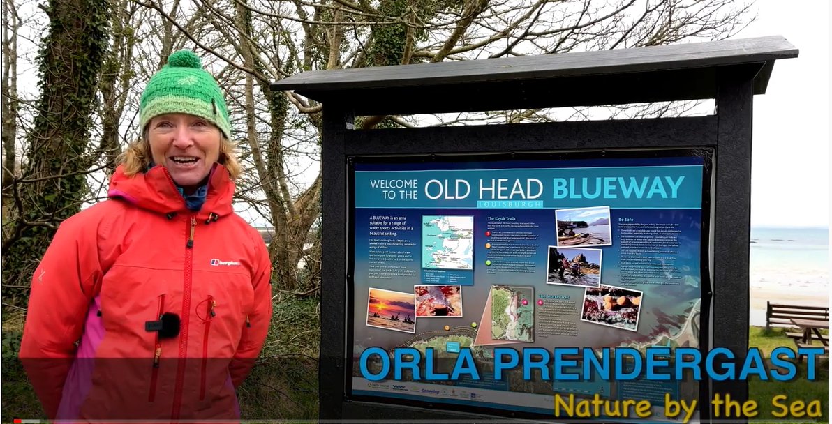 ATU_Mayo's tweet photo. GMIT Mayo Outdoor Education lecturer Orla Prendergast discusses exploring rockpool and shoreline habitats.  From our recent outdoor play conference @GMITOfficial #Mayo.
https://t.co/yZmPCO95Xx @GmitOutdoor @OutdoorPlayMayo @GMITSLO @CypscIrl https://t.co/R2F97cuwbw