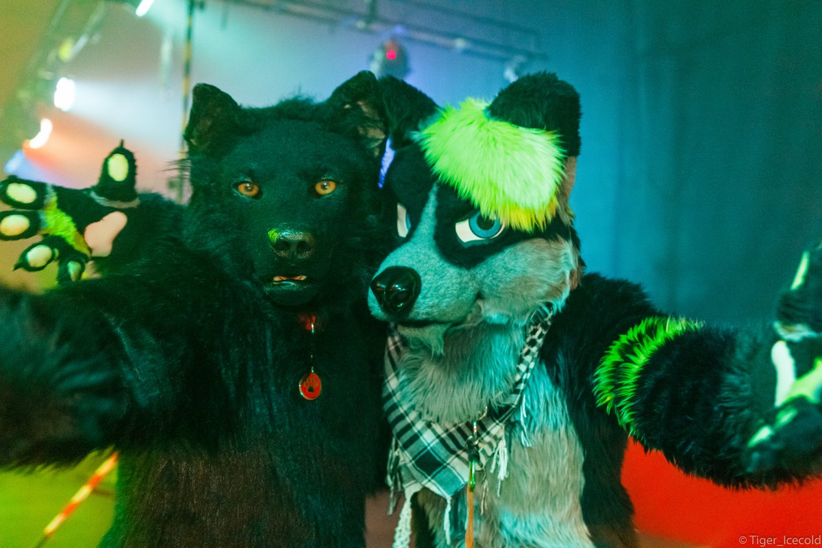 BerkWolf's tweet photo. Happy #FursuitFriday

✂️ @Sharpecostumes
🐺 @hatchi_s ✂️ @NeonFurStudios
📸 @Tiger_Icecold
🗓 19.03.2016
🏙 #Hamburg 🇩🇪
🦊 @nordic_furdance

#NFD #NFD6 #NFD2016 #Furry #Fursuit #Nordic #Furdance

Berk-News (TG):
https://t.co/AIwKf2hgax

Video Project 2020-2022:
📹 @furryfreestyle https://t.co/vCmnptVY4u