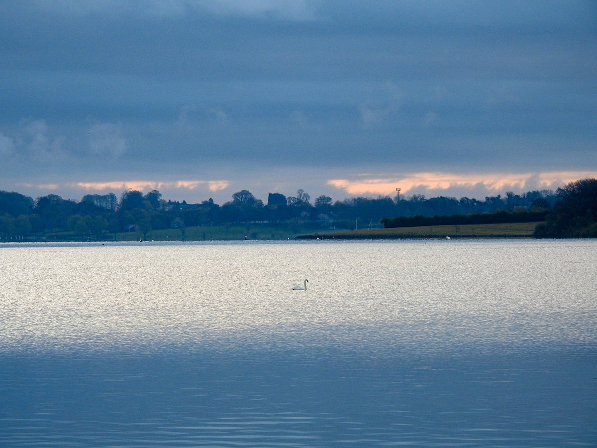 A few scenes from <a href="/RutlandWaterNR/">Rutland Water Nature Reserve</a> just after dawn this morning...
<a href="/rutlandonline/">rutlandonline</a>