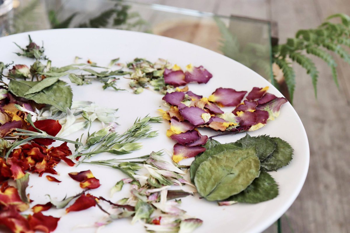 ガーデンネックレス横浜公式 4月17日 山下公園インフォメーションセンター 山下公園インフォメーションセンターでは 青山フラワーマーケットの限定ショップを開店中 香りのよいお花や観葉植物 バラの香りのハンドクリームや石鹸など おうちでも春を