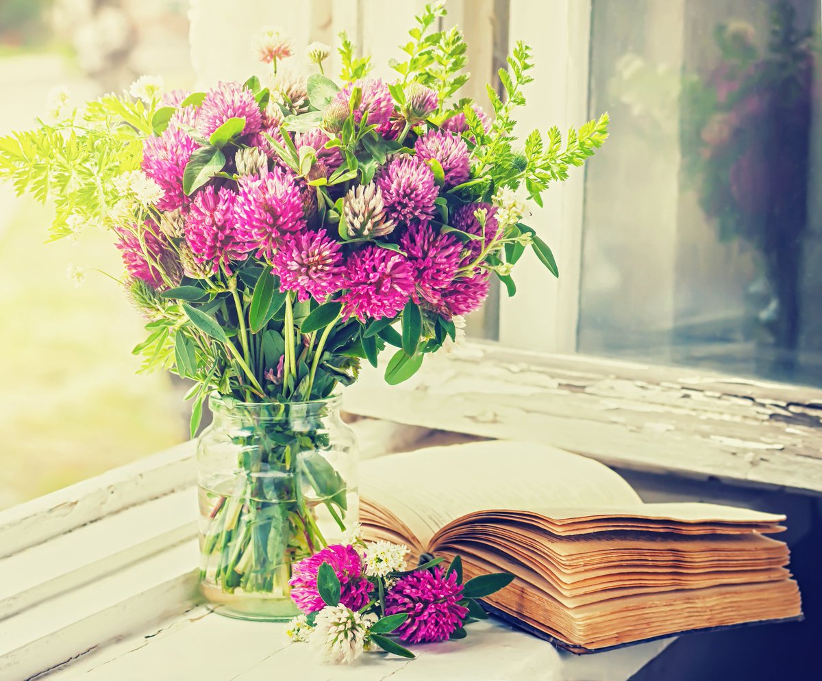 #VendrediLecture 📖🌷💐