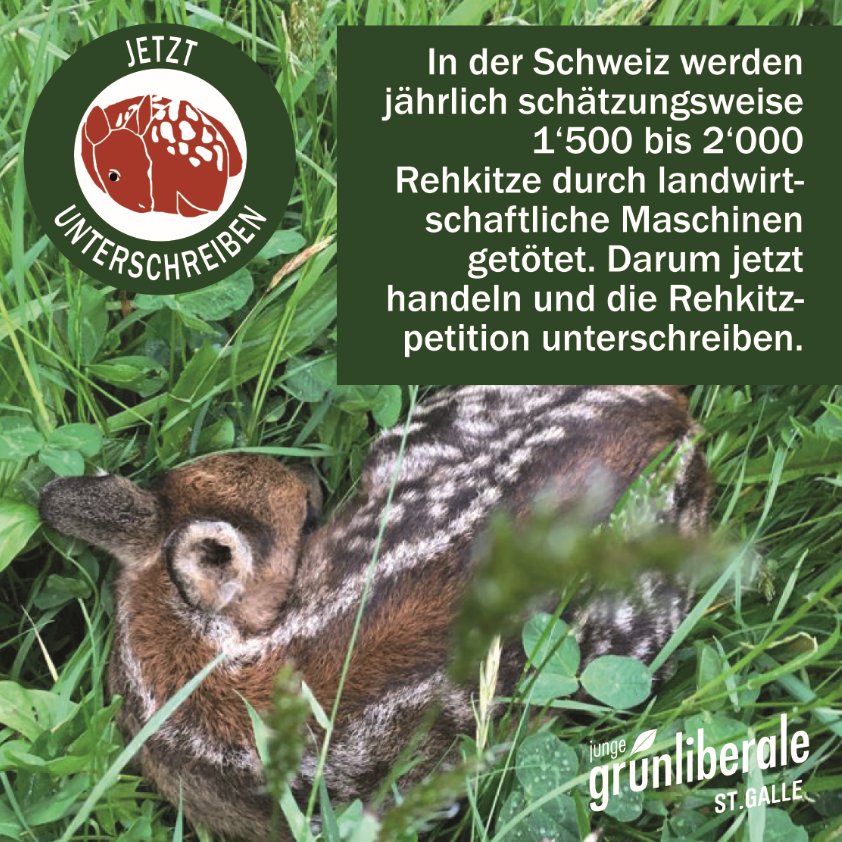 Animal Rights Switzerland - Quintin Courtney