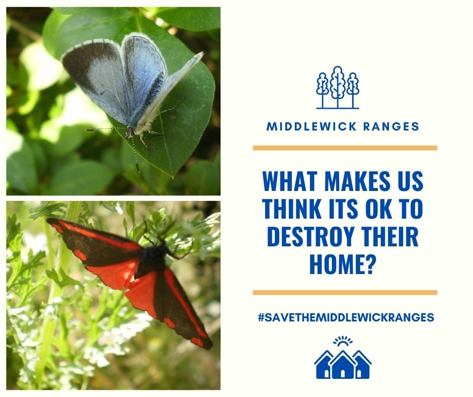 SaveRanges's tweet photo. Time is running out for these animals UNLESS we can #savethewick
#ecocide #egocentric #savethewick #savethemiddlewickranges #naturecrisis #naturelovers #overdevelopment #savenature #middlewickranges #colchester #enjoycolchester #cleanair #pollution https://t.co/4XZ5VoJexD