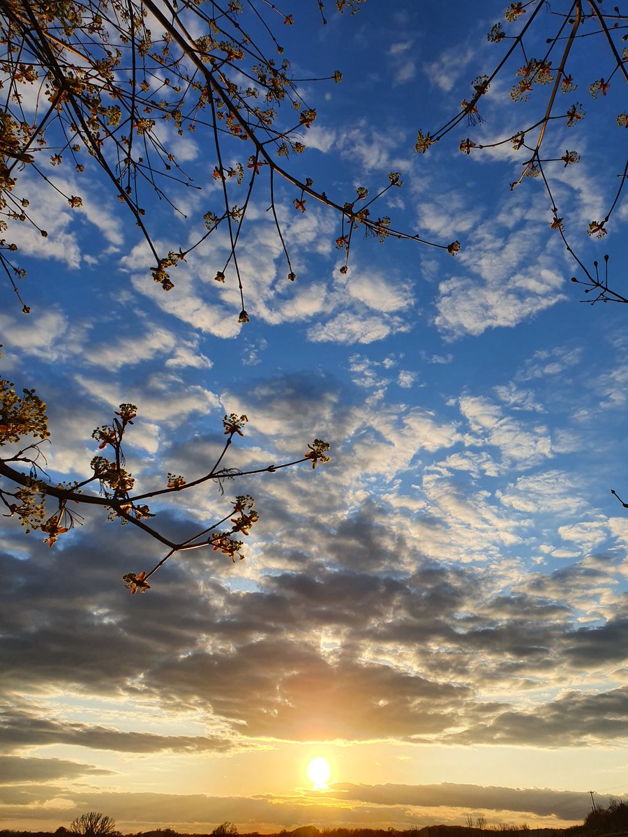 WriterRDavid's tweet image. Evening

#nature #sunset #author #writer #authorslife #writerslife #fictionwiter #writerscommunity #inspiration #writerrdavid