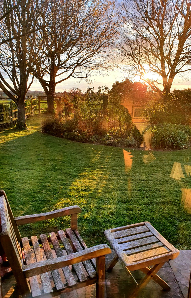 WriterRDavid's tweet image. Looking up: reflections through the window

#author #writer #authorslife #writerslife #fictionwiter #novel #writerscommunity #inspiration #springtime #garden #writerrdavid