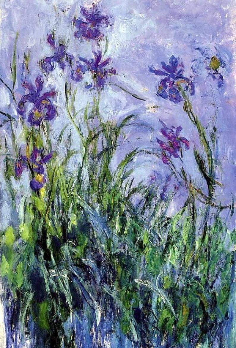 Claude Monet
Iris viola
1914