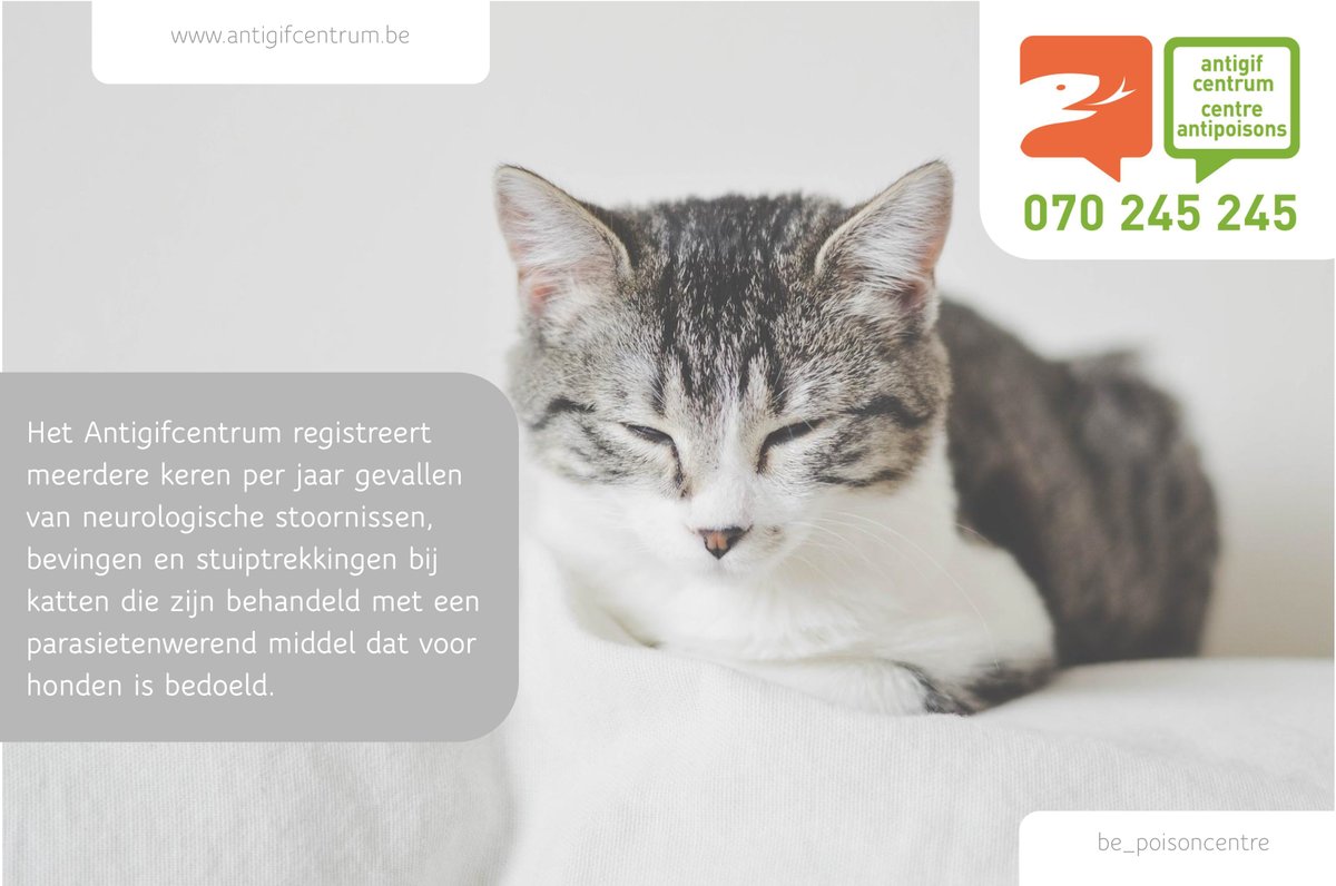 be_poisoncentre's tweet photo. Middelen tegen vlooien bij honden op basis van #permethrine mogen niet worden gebruikt bij katten. Lees altijd goed de bijsluiter of raadpleeg je dierenarts alvorens het product te gebruiken. #antigifcentrum #preventie #experts #enthousiast #dichtbij https://t.co/vNp4kt3b7Q