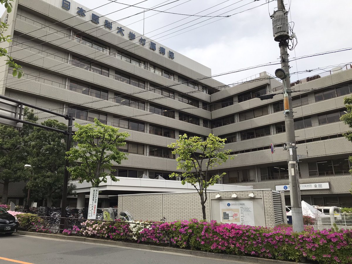 軍鶏 最新情報まとめ みんなの評価 レビューが見れる ナウティスモーション 軍鶏 最新情報まとめ みんなの評価 レビューが見れる ナウティスモーション