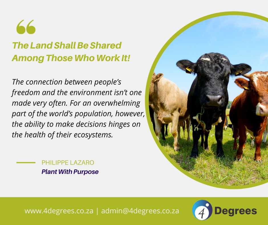 degrees_4's tweet photo. Human rights and the environment are intertwined; human rights cannot be enjoyed without a safe, clean and healthy environment; and sustainable environmental governance cannot exist without the establishment of and respect for human rights.
#FreedomMonth2021 #EnvironmentalMonth https://t.co/4ShEJSpLzg