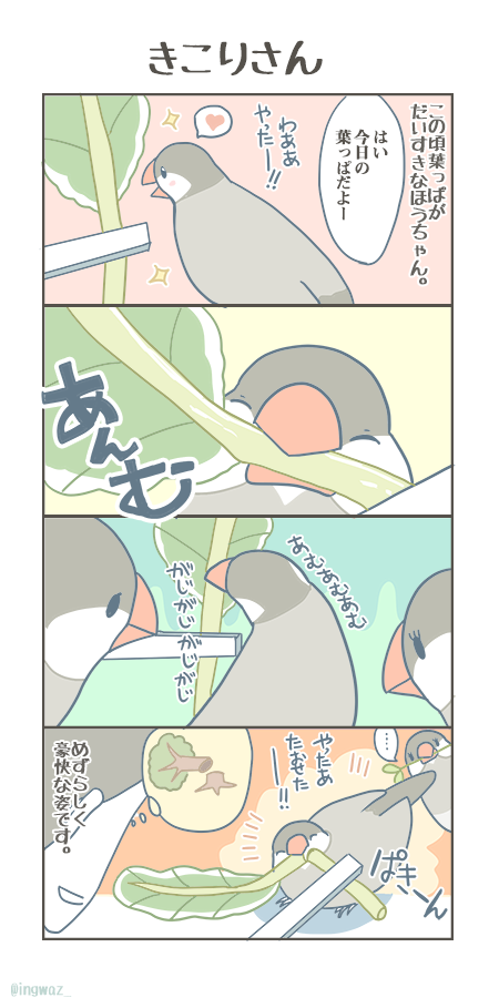 この頃のほうちゃん。小松菜の茎が大好きです。

#Buncho #javasparrow #文鳥 