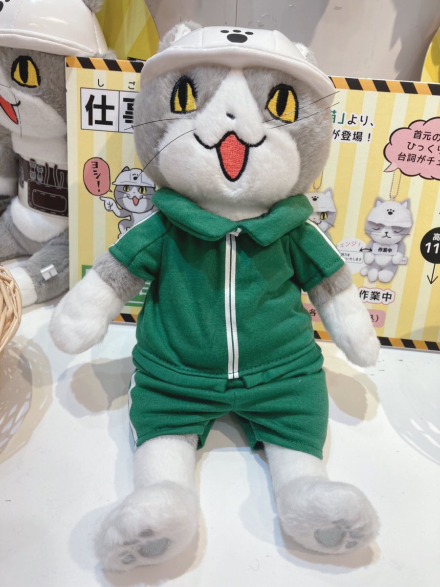 Nipopo原宿ｷｬｯﾄｽﾄﾘ ﾄ店 Nipopoharajuku Twitter
