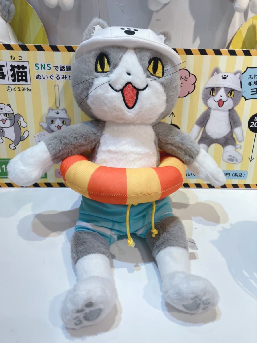 Nipopo原宿ｷｬｯﾄｽﾄﾘ ﾄ店 Nipopoharajuku Twitter