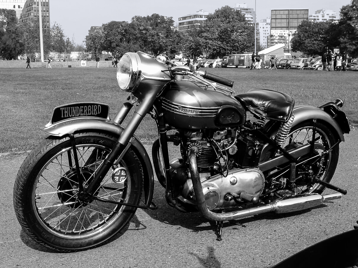 Triumph 2024 thunderbird 1953