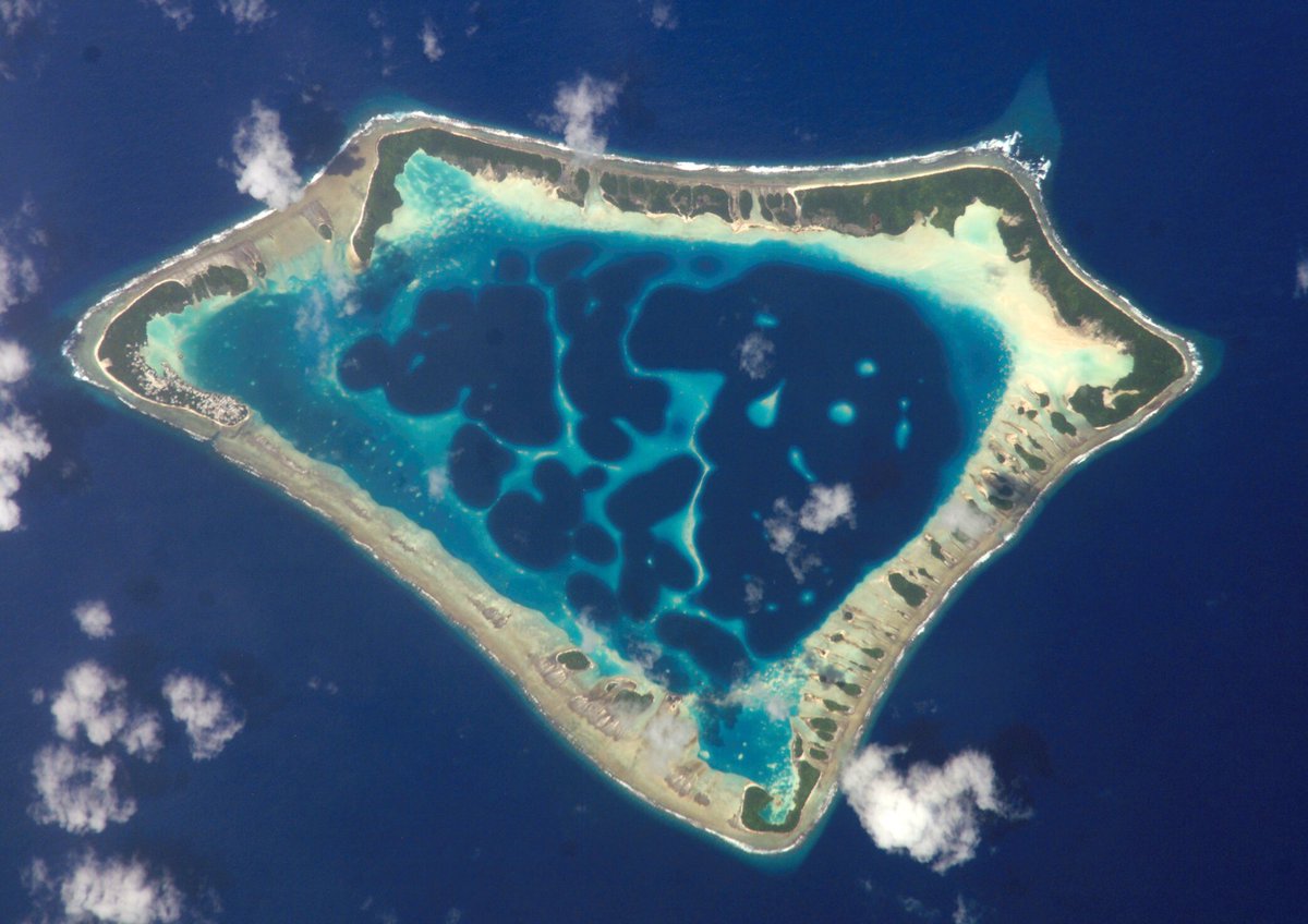 corallation's tweet photo. Atolls are ring-shaped reefs, islands and series of islets. They form with underwater volcanoes by building reefs around the volcanic island! #coraltwt #reeftwt
read more here: https://t.co/bukqagYUQX https://t.co/HmSX5XdWYP