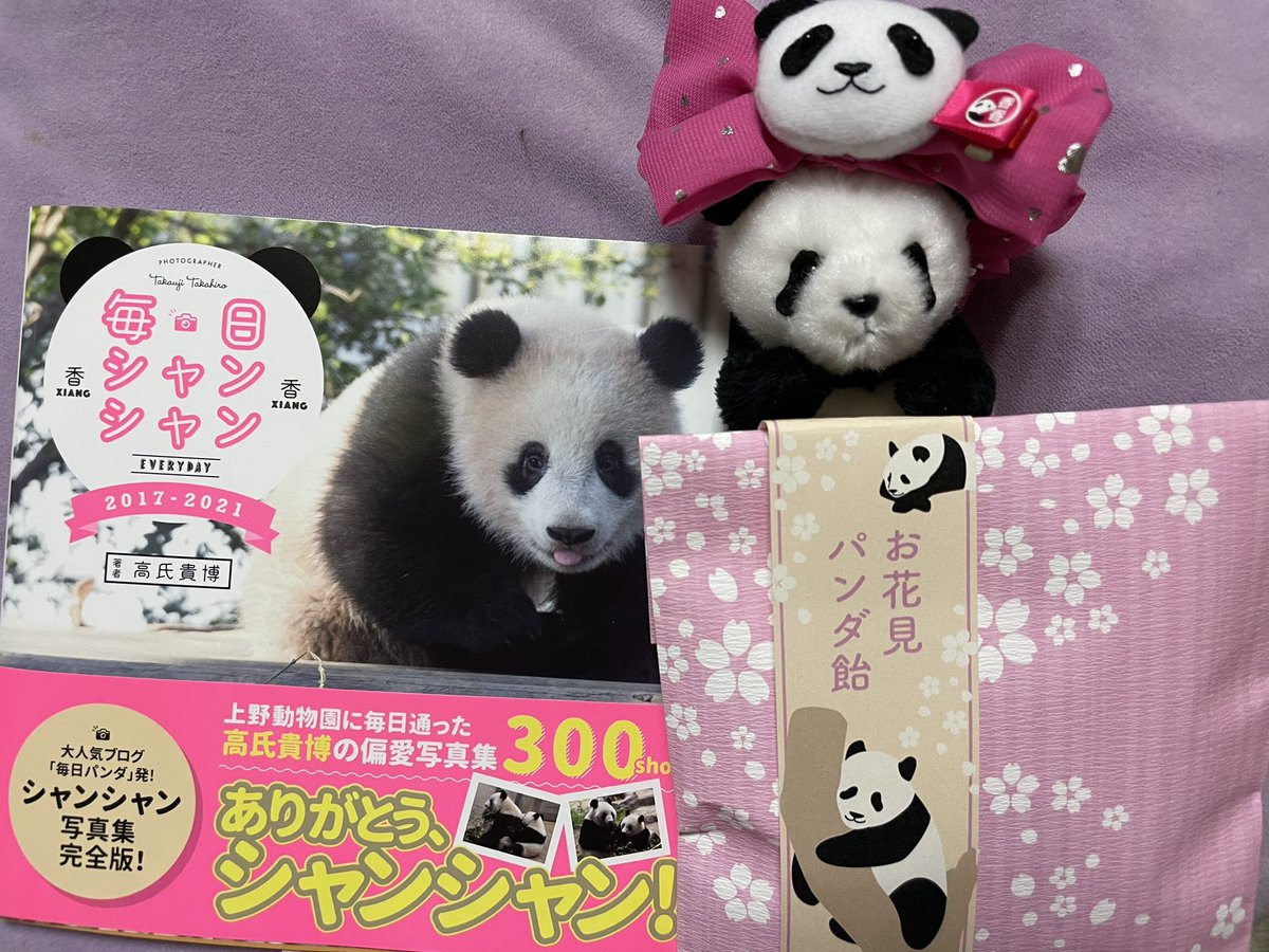 毎日シャンシャン 毎日シャンシャン