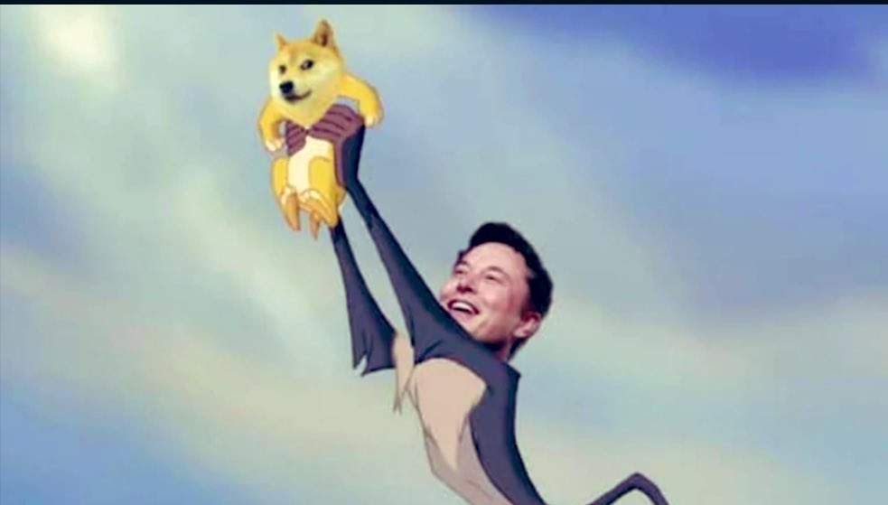 Ale_Sommese's tweet image. #doge Dogecoin and Elon Musk in this moment !