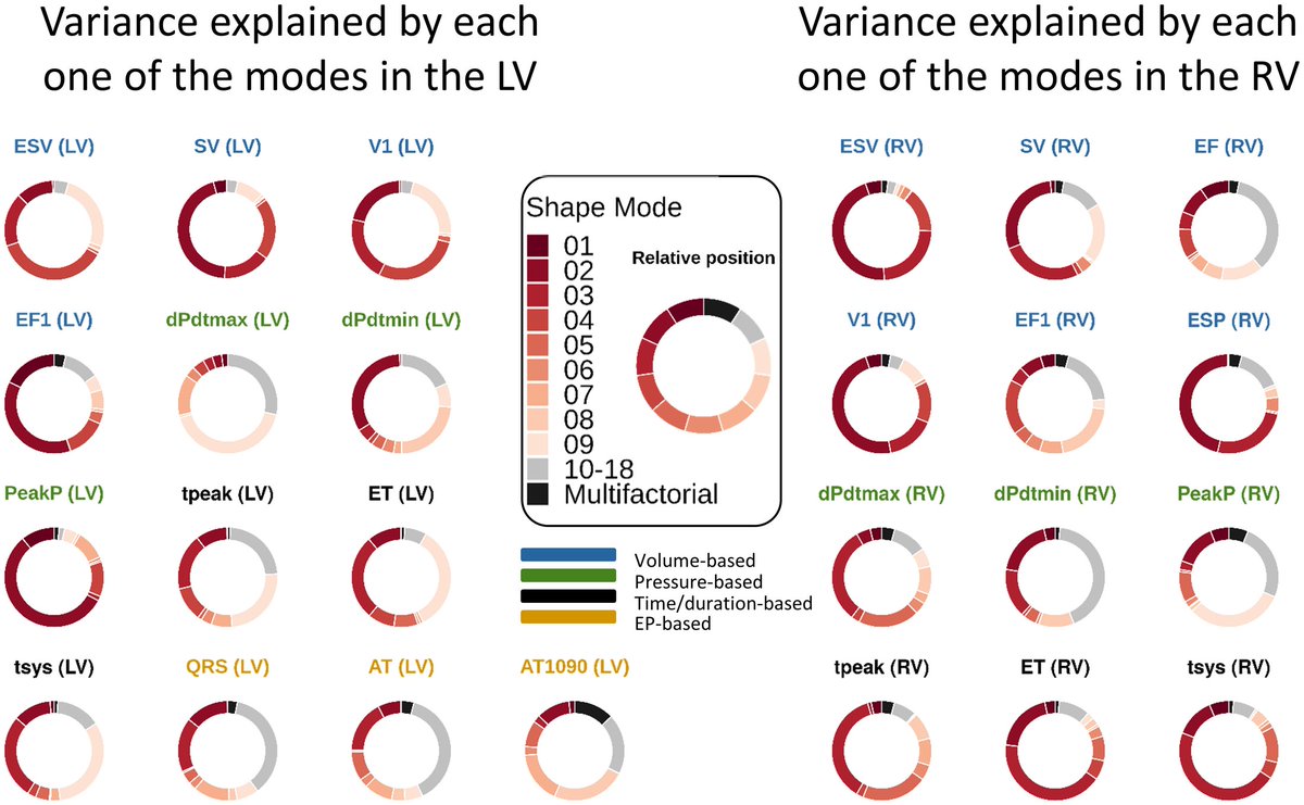 TovRodero's tweet photo. Yesterday the first paper for my thesis came out!!🥳🥳

It's been a massive project and feels so good to see it wrapped up so nicely (thanks to everyone involved from @CEMRG_KCL, @PICnetEU and @KingsImaging !).

Everything #OpenAccess in @PLOSCompBiol: 
https://t.co/F0rx2hzRyu https://t.co/slJILvB8xF