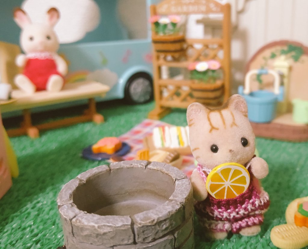 おうちにかえりたいシマネコの赤ちゃん Simanekokaeru Twitter