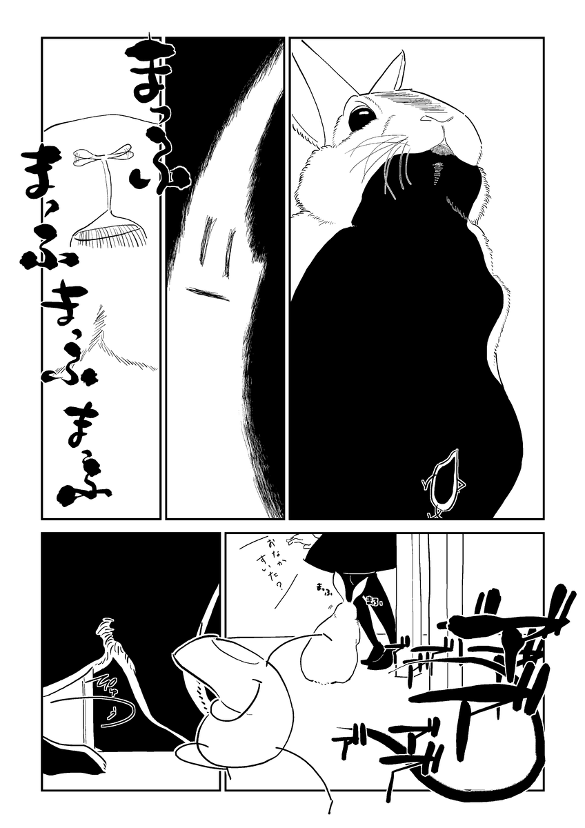 (2/6) 