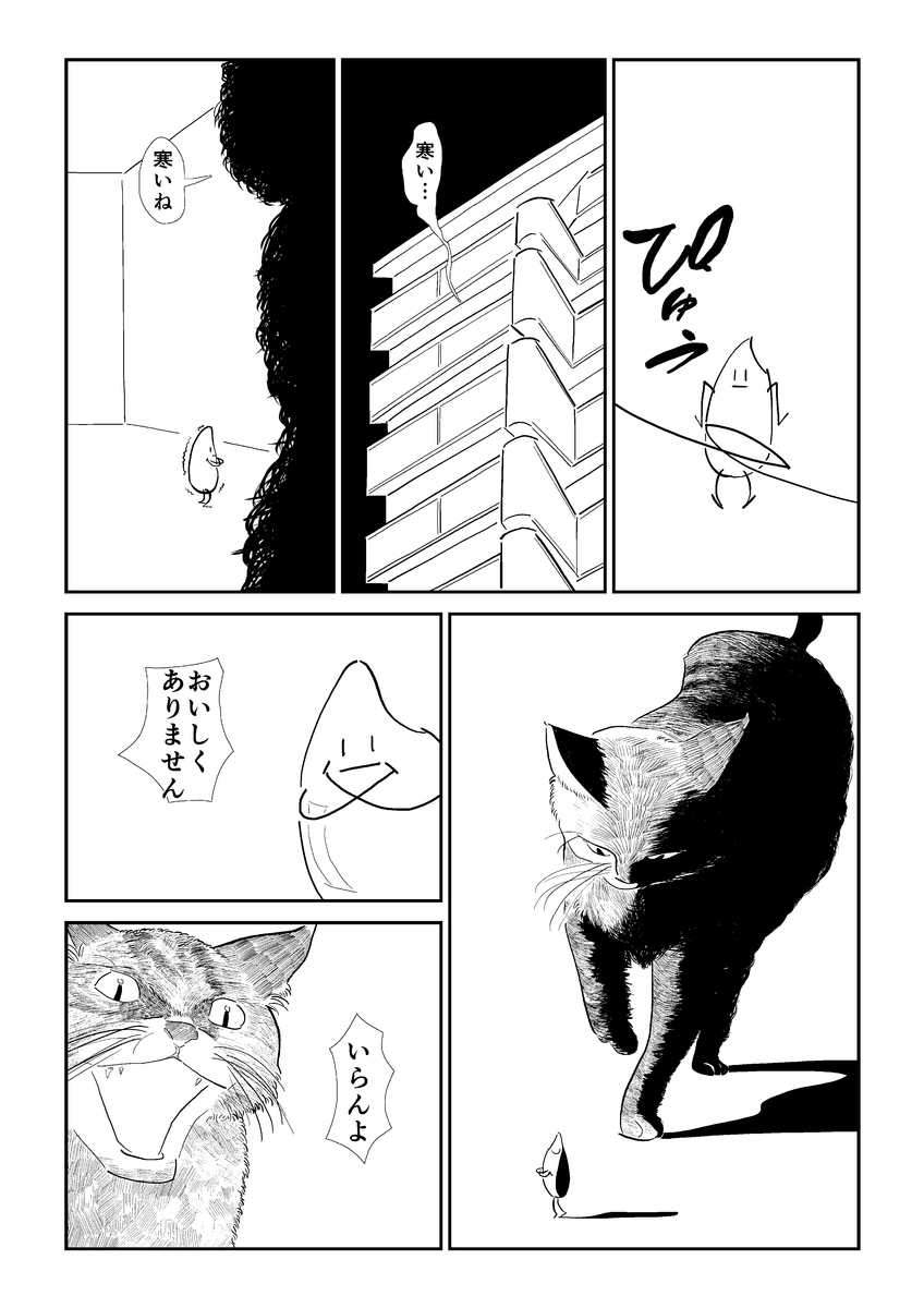 (3/6) 