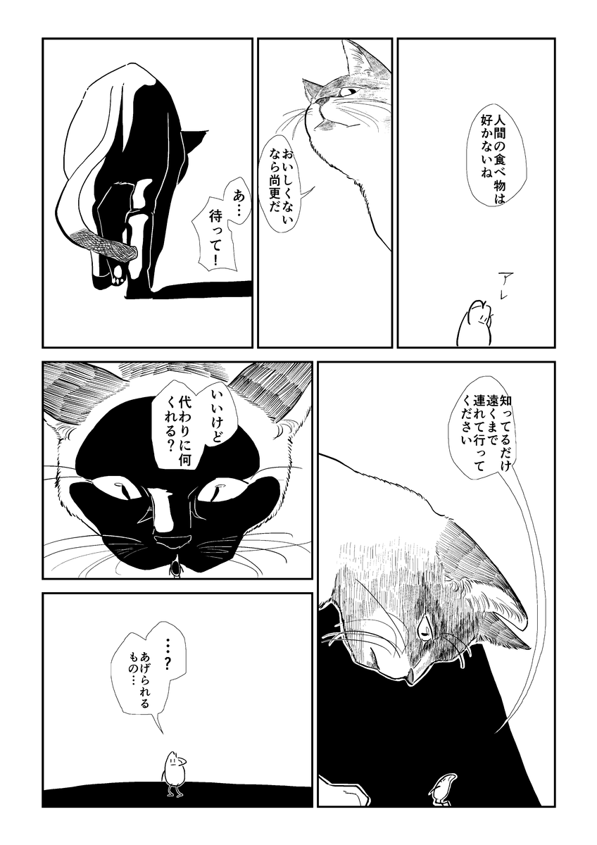 (3/6) 