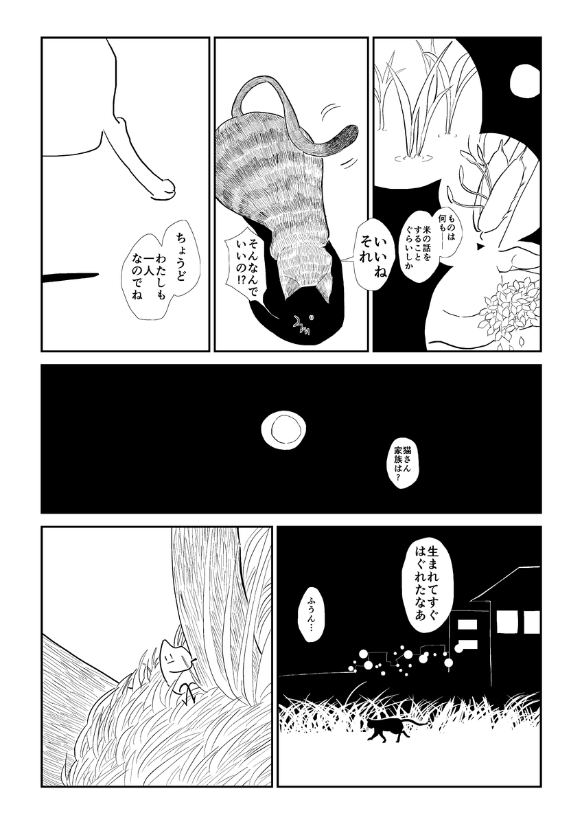 (3/6) 