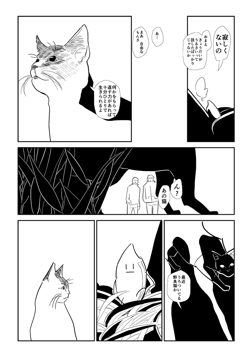 (3/6) 