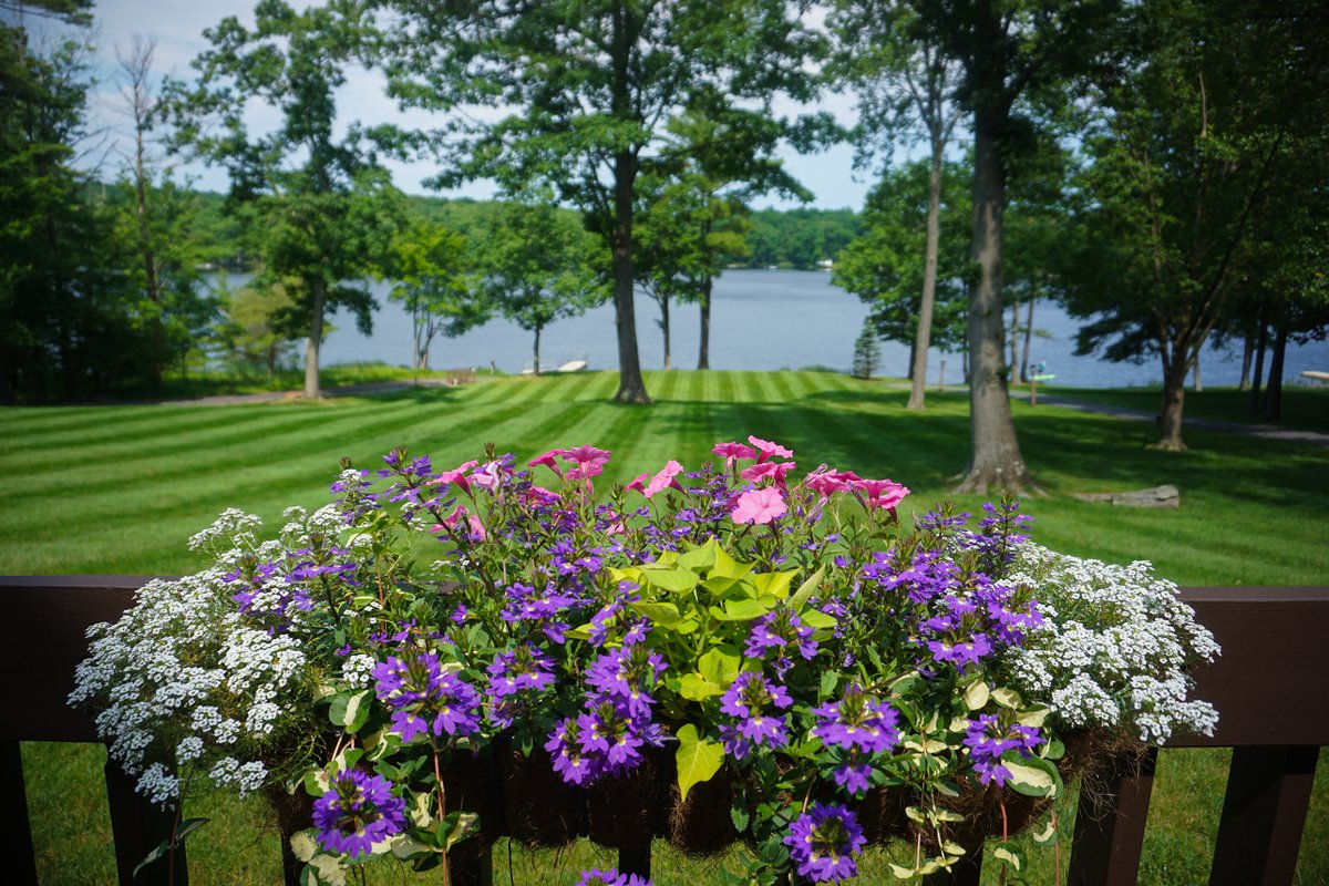 Woodloch's tweet photo. You know what they say- #AprilShowers bring... https://t.co/uJMXqtRYSu