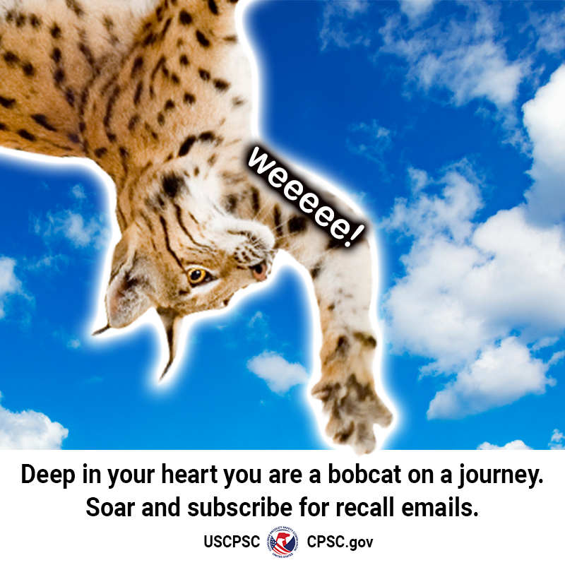 A bobcat flying upside down through the air. The bobcat says, "weeee!" The text reads: Deep in your heart you are a bobcat on a journey. Soar and subscribe for recall emails.
