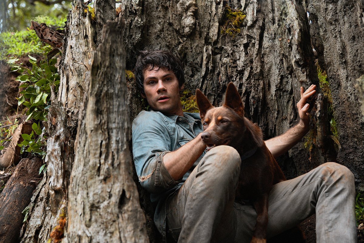 NetflixBrasil's tweet photo. Eu atravessaria o mundo enfrentando monstros pelo @dylanobrien ... https://t.co/hKyb5Okcdm