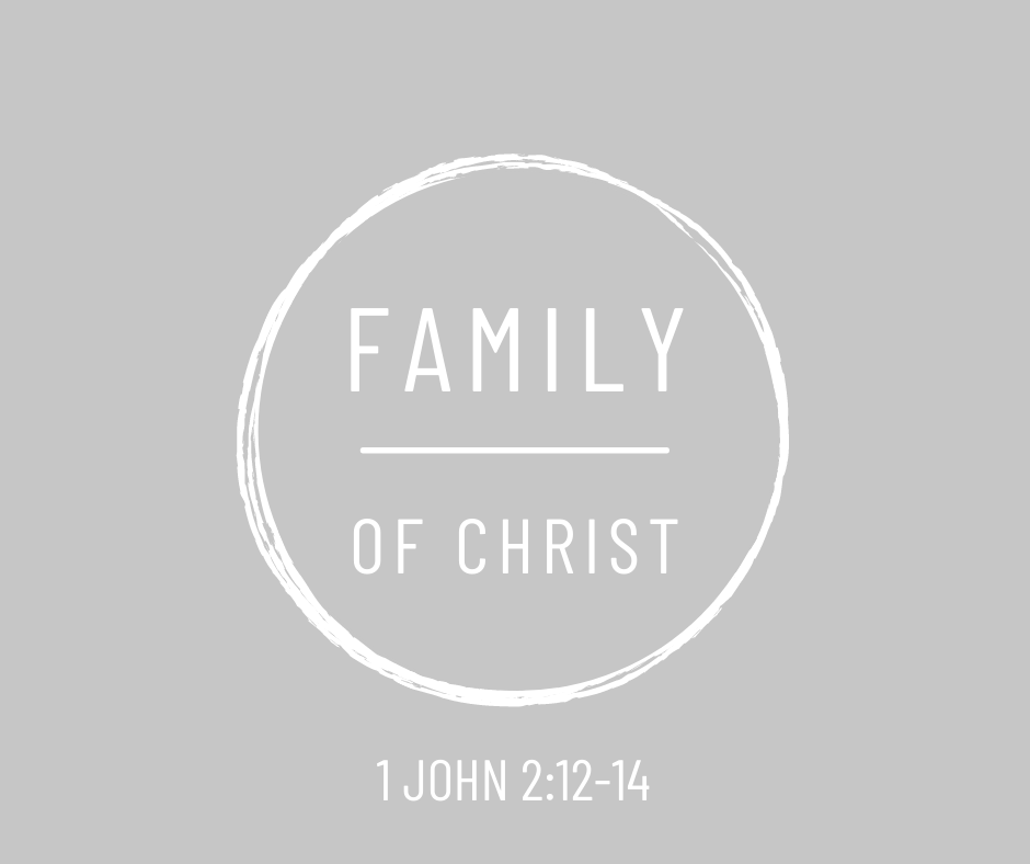 TeenEquip's tweet photo. Tomorrow we plan to study the joy of being family in Christ.
—Does our spiritual growth affect our position in Christ?
—How can we tell whether we are baby, young, or mature Christians?
—What primary means does the Lord use to give growth to His children?
Tomorrow at 3pm! https://t.co/eRyqsqIsfo