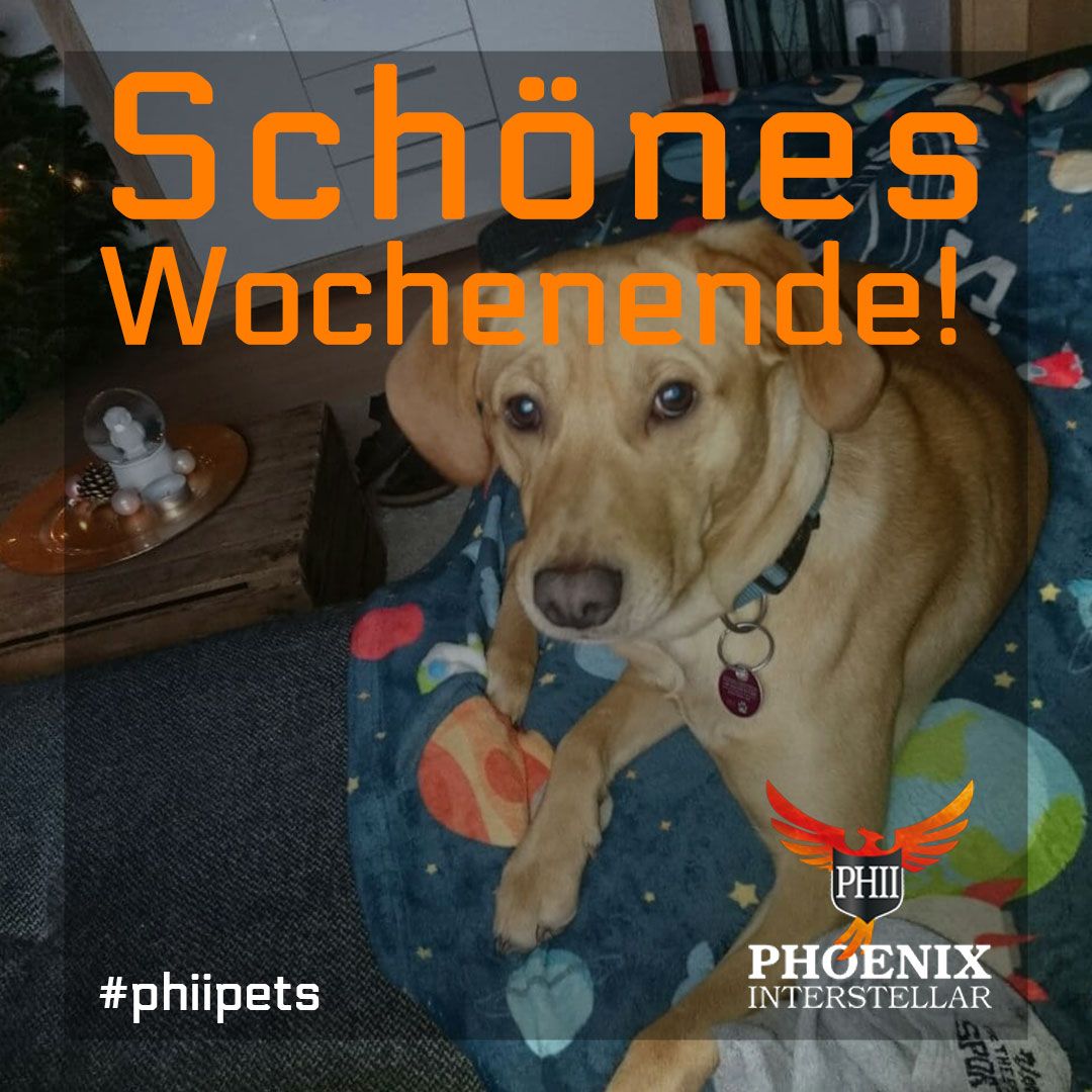 PHII42's tweet photo. Wir wünschen ein schönes Wochenende! #phiipets #phiianimals #phinimals #phii https://t.co/mGRr470oQg