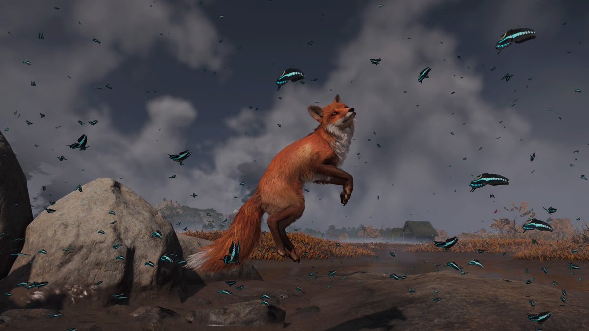 Not_Indominus's tweet photo. The foxes of Tsushima🦊
#GhostOfTsushima #VirtualPhotography #PSshare #PS4share https://t.co/he2qGYdxoR