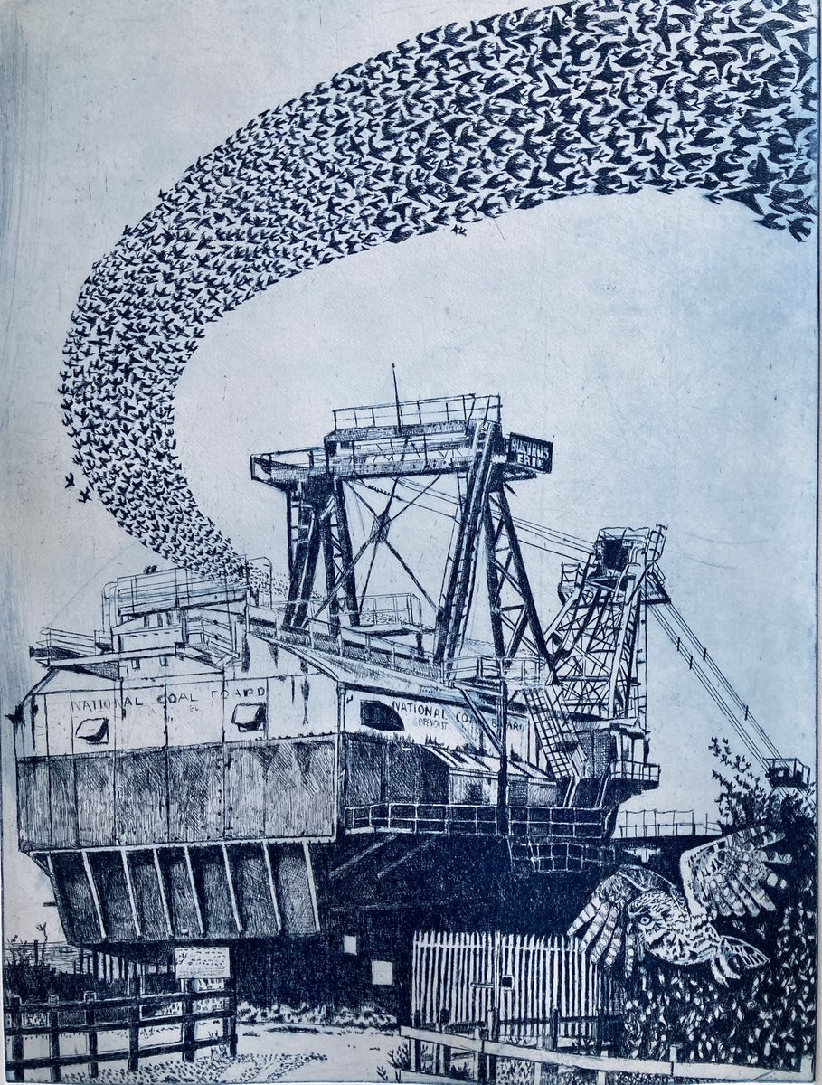 janisgoodman's tweet photo. Feeling rather pleased with the first  proof I’ve made of my big, new St. Aidan’s #etching starring the walking dragline excavator, the #littleowl and a #murmuration of starlings. The #RSPB site is an old #opencastmine, hence the extraordinary machine. https://t.co/Ik6no3gupq