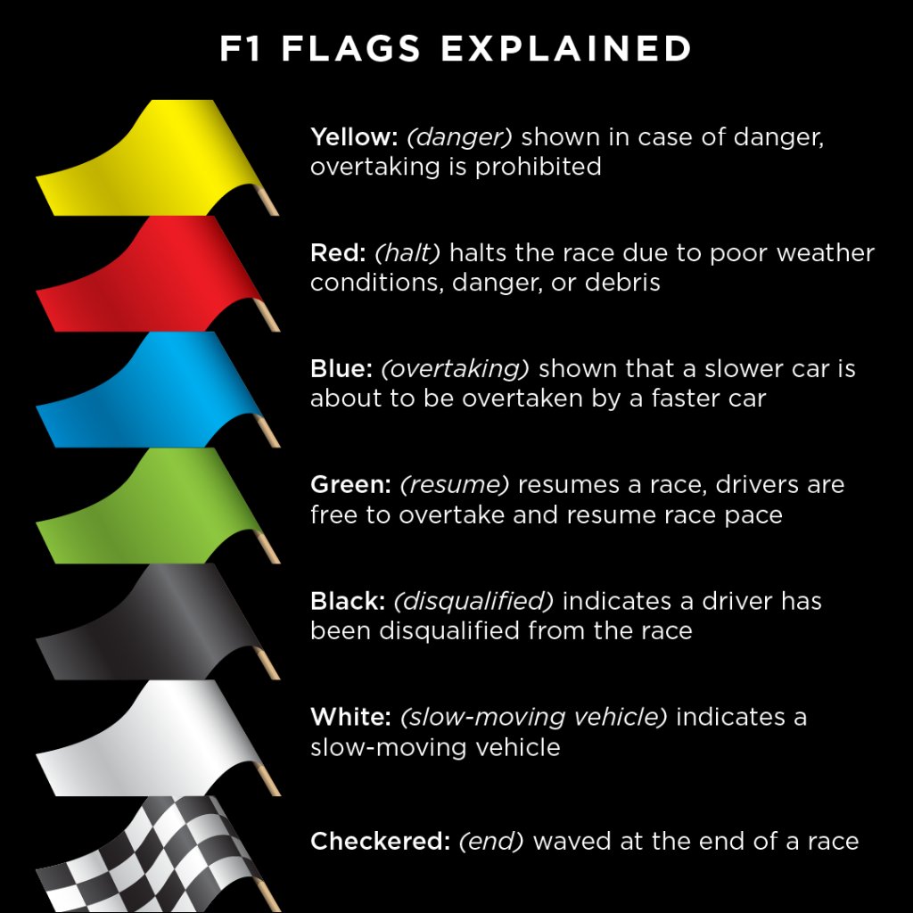 What is the black and white flag in F1 racing?