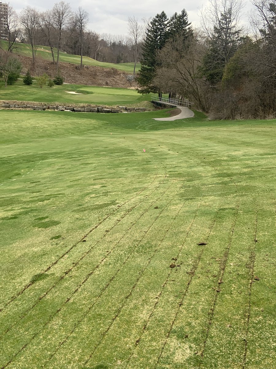 Zander Sod Turf Services tweet media
