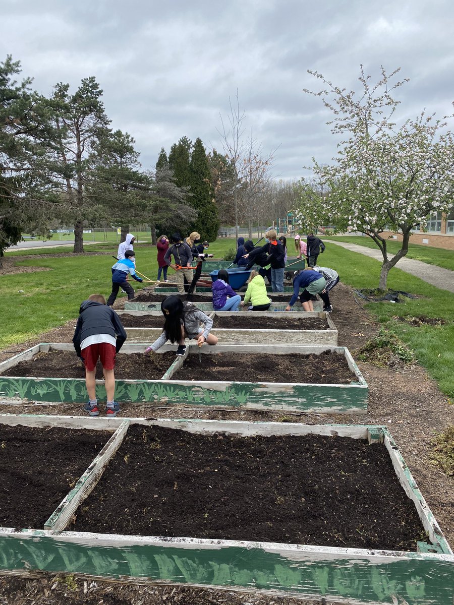 dlmillered's tweet photo. IRE 5th graders “working the land”. In a few months, there will be a lot of vegetables for the Dublin food pantry. This is all a part of our Grow to Serve program here at IRE. ⁦@ireDCSD⁩ https://t.co/ke9TekiUt7
