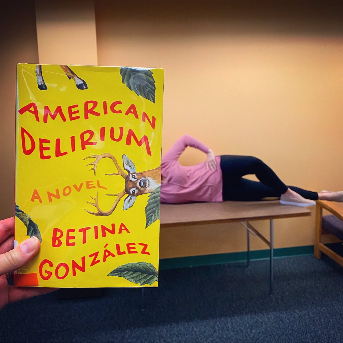 mclsnj's tweet photo. Our #bookfacefriday inspiration this week comes from “American Delirium” by #BetinaGonzalez! Check out this #book about hallucinogens, frenzied deer, and mayhem in a small Midwestern town. 

#bookfacelicious #bookfacemagazine #njlibraries #librarybooks #fiction #bookface #newbook https://t.co/kJ7PKGEPue