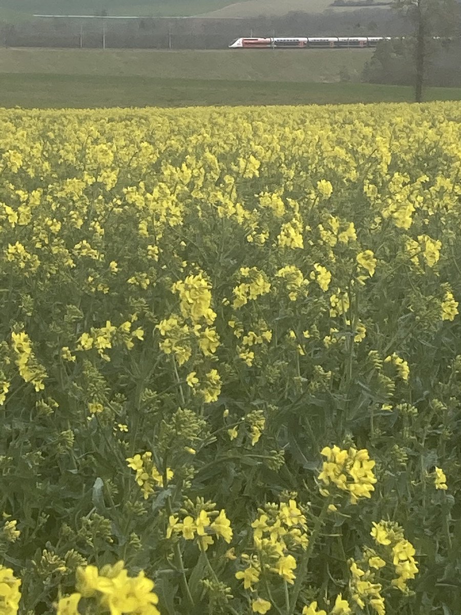 Emmanuel BONNIN tweet media