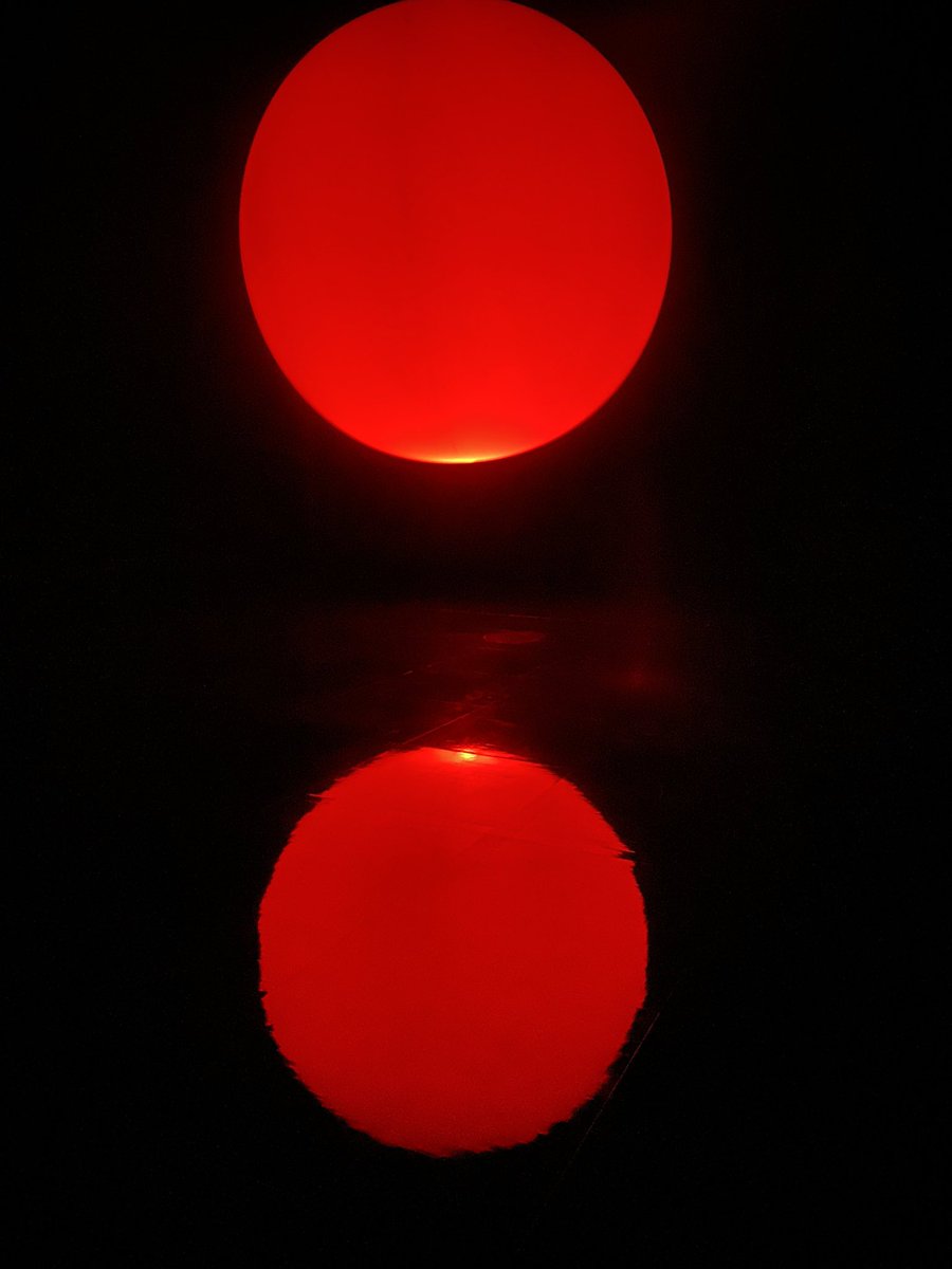 世界も称賛するsns映えスポット チームラボボーダレス で非日常体験を 日本最大級のsns映え観光情報 スナップレイス