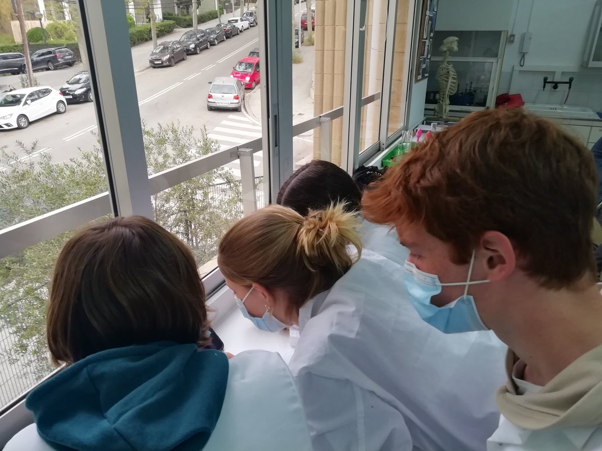 mireiamolera's tweet photo. Avui els alumnes de 2n d'ESO de @escolasadako i @NouPatufet participen a la #FiraCiènciaTrams amb uns reptes científics ben salins: Salines i Salinitat. #ESO2SDK #scienceisintheair https://t.co/qJAHO5R8Me