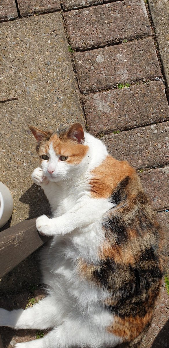 Look into the eyes of the ultimate destroyer! She maybe photogenic but she's come to kill us all!