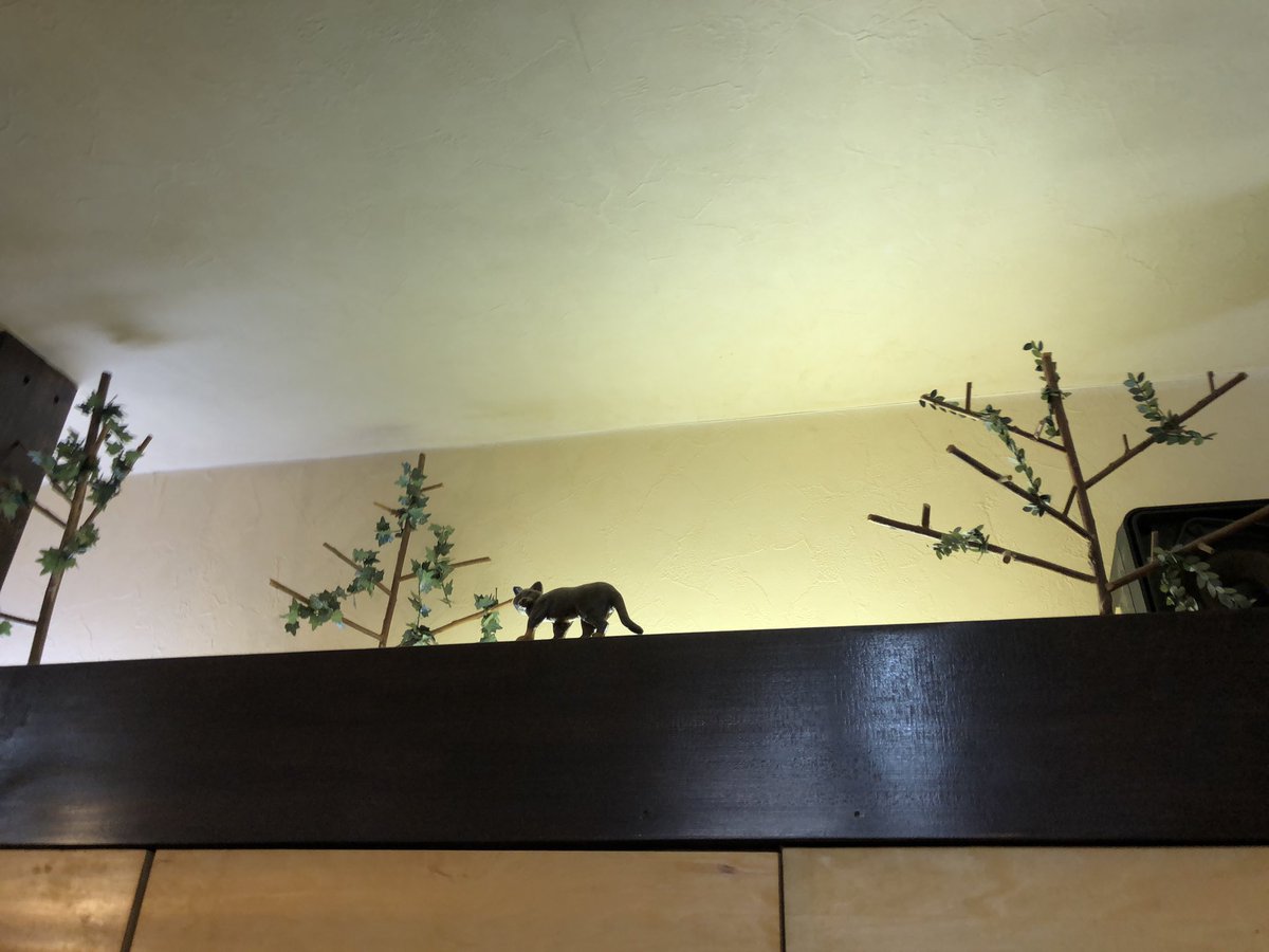 とこや番々 64bo99qrkoeifwp Twitter