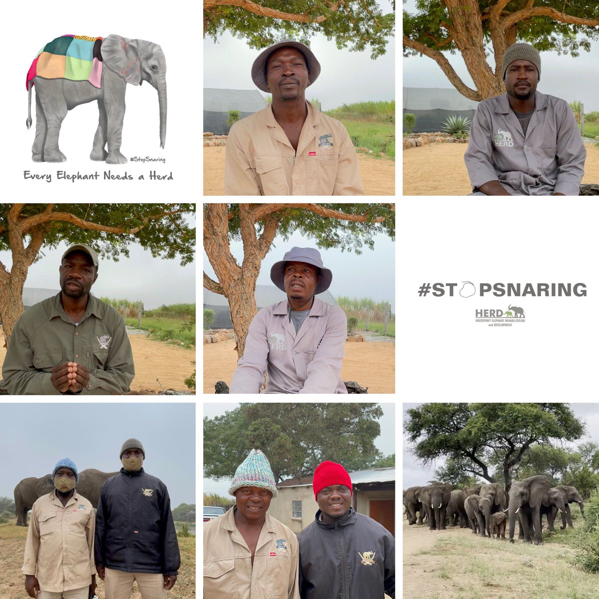 JabulaniSafari's tweet photo. Learn, support, share & #STOPSNARING this #SaveTheElephantDay ๐๐๐
Get behind @HERD_Elephants #STOPSNARING Campaign by listening to, reading and sharing the message of the Elephant Carers: ๐
https://t.co/c9RMlRycUv https://t.co/FTm4H3nyzO