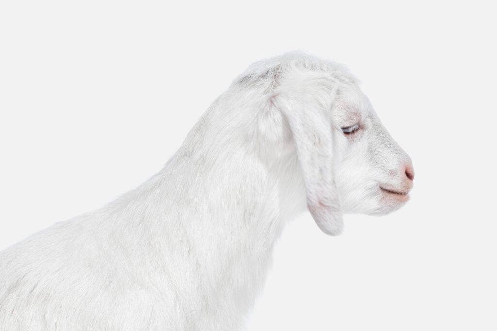 Phom Fotografia tweet media