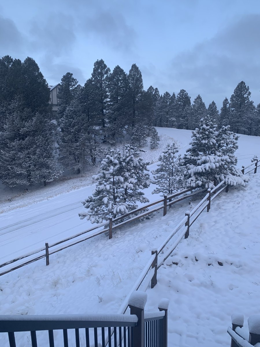 authorterryo's tweet image. Good morning. #springincolorado #AprilSnow