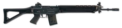 f22: sig 550 or as we call it assault rifle 90 (because it was introduced in a reform in the 90es) is the standard weapon every soldier learns to use in close combat and for the distance of 300 meters