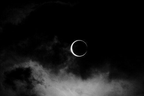 Kali Röhm (@krohm6) on Twitter photo 