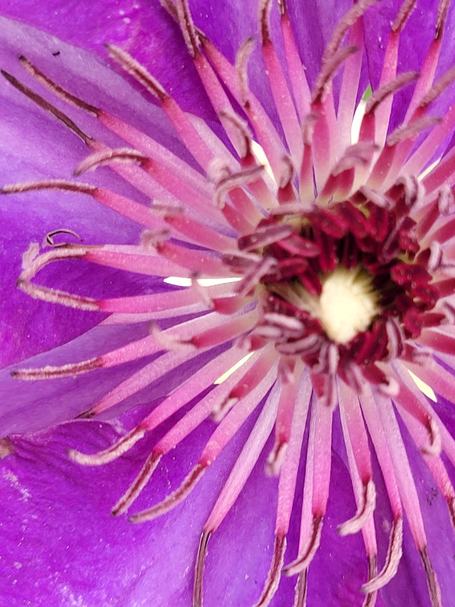 El interior ...el centro donde Dios te habita esta lleno de belleza