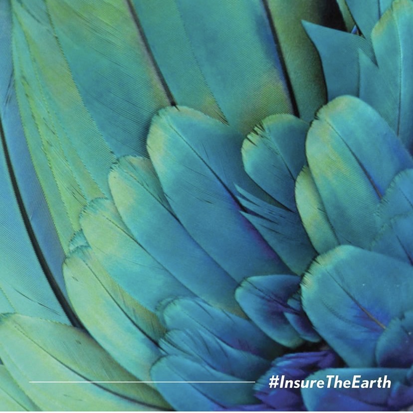 What small change can you make today to help #InsureTheEarth?

🌎🌍🌏